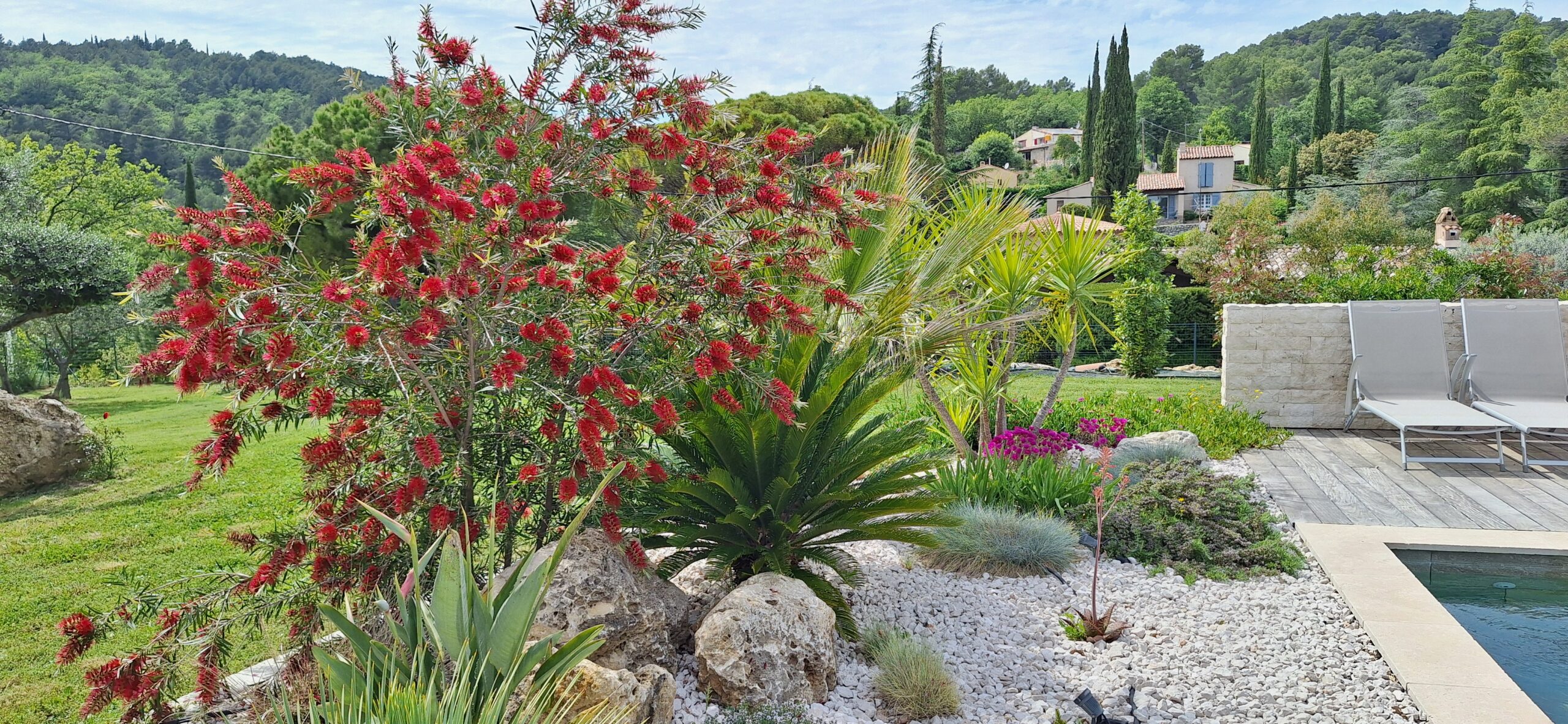 Le jardin
