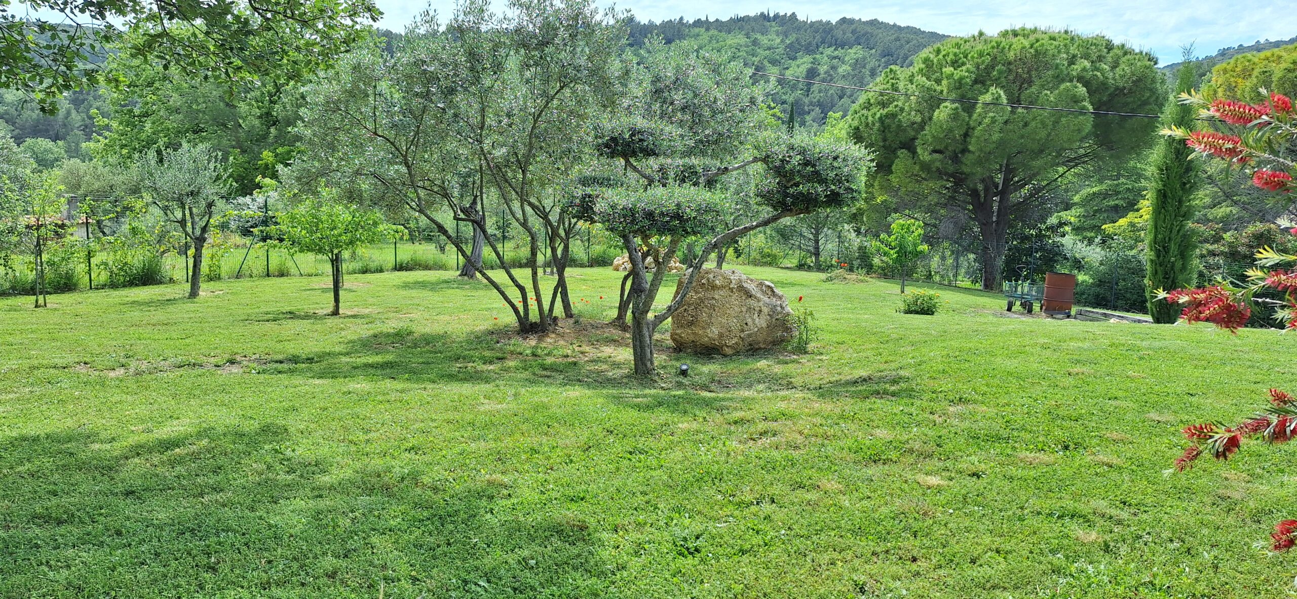 Le jardin